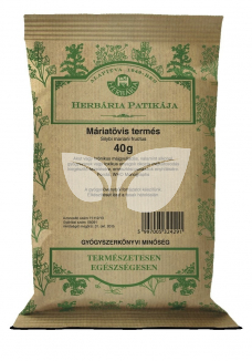 Herbária Máriatövis-termés Májra - 2.