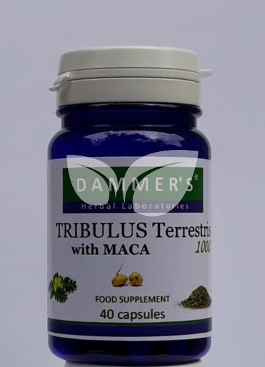 Dammers Tribulus Terrestris királydinnye kapszula 40 db • Egészségbolt
