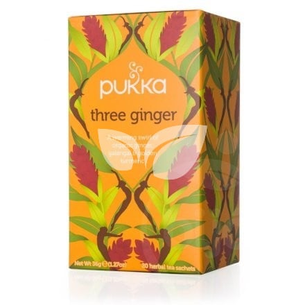 Pukka bio három gyömbér tea 36 g • Egészségbolt