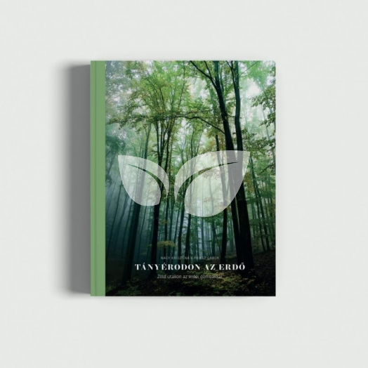 Banyaerdő Tányérodon az erdő - könyv • Egészségbolt