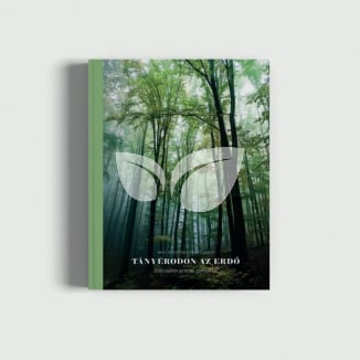 Banyaerdő Tányérodon az erdő - könyv