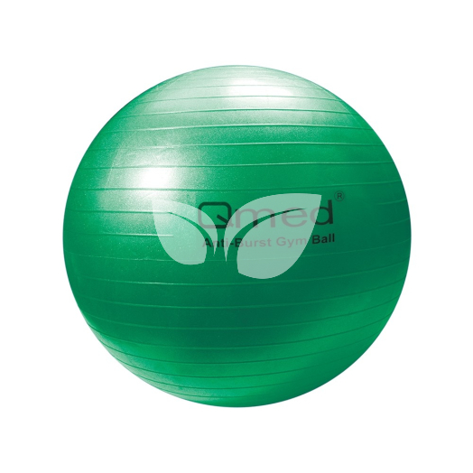 QMED Fizioball 65cm • Egészségbolt